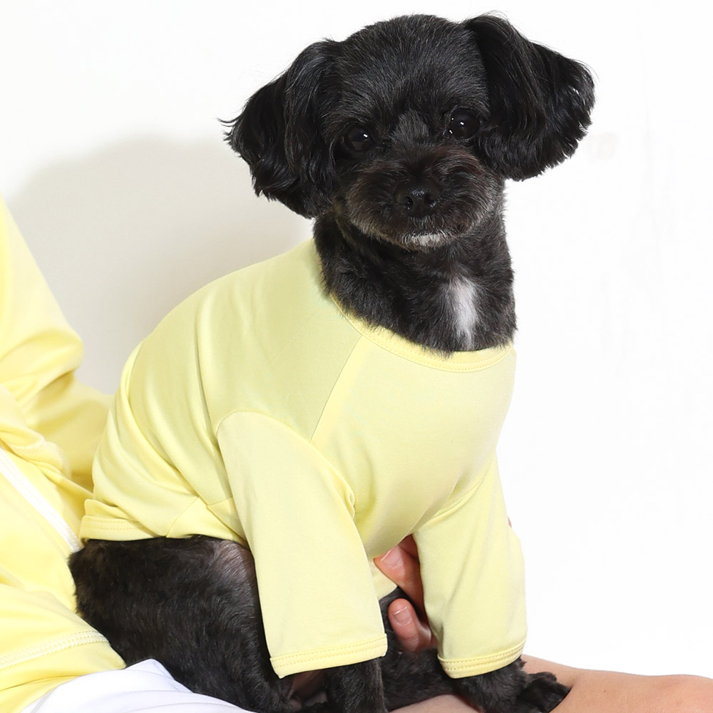 ドッグウェア ラッシュガード 犬 ドッグウエア 接触冷感 UPF50+ 小型犬