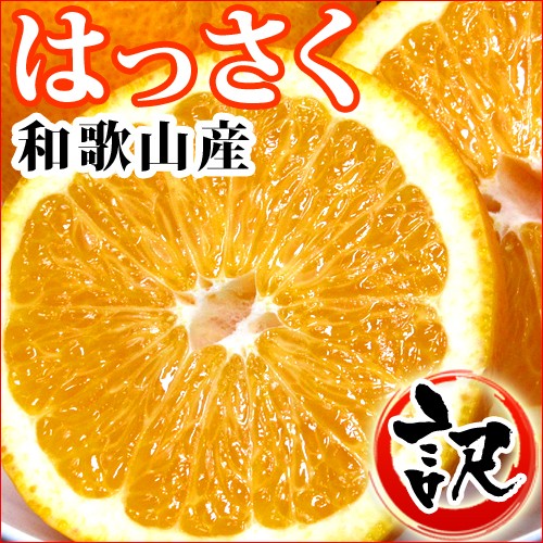 八朔（はっさく）