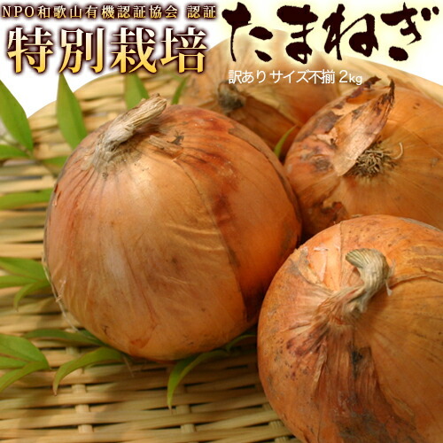 たまねぎ