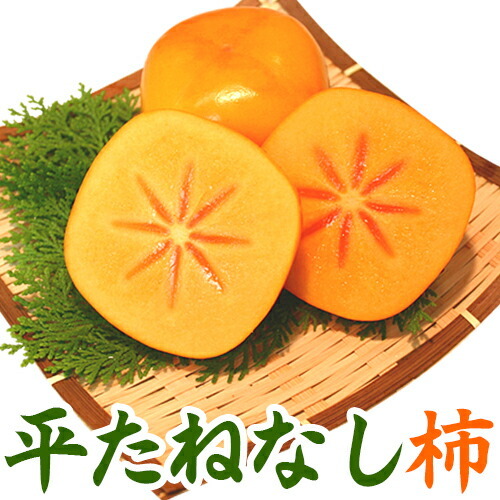 和歌山名産「柿」