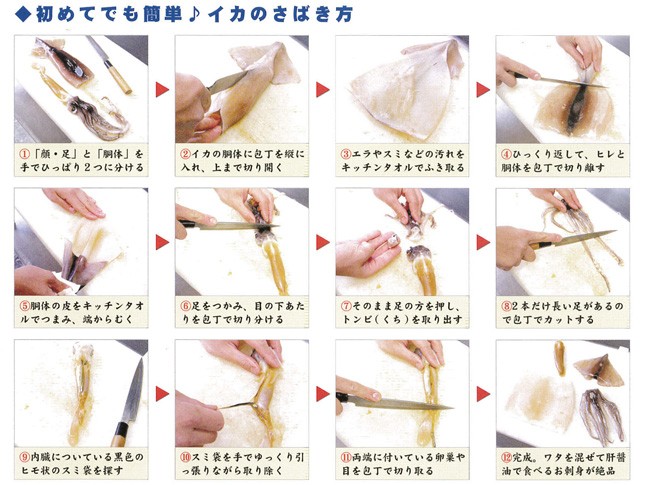 イカのさばき方