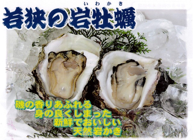 新鮮でおいしい天然岩かき！