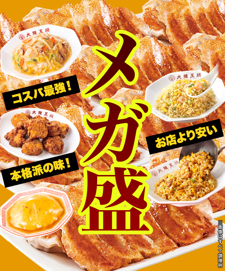 合計5kg超 大阪王将得々6種セット 天津飯 唐揚げ から揚げ 羽根付き