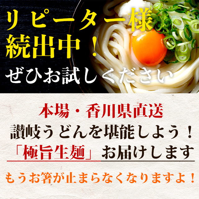 500円 送料無料 讃岐うどん9食 平切麺 生麺 平打ち きしめん お取り寄せ 食品 ロス ポイント消化 ご当地 お試しセット グルメ ワンコイン  :sanukiudon9-hira:グルマンデYahoo!ショッピング店 - 通販 - Yahoo!ショッピング