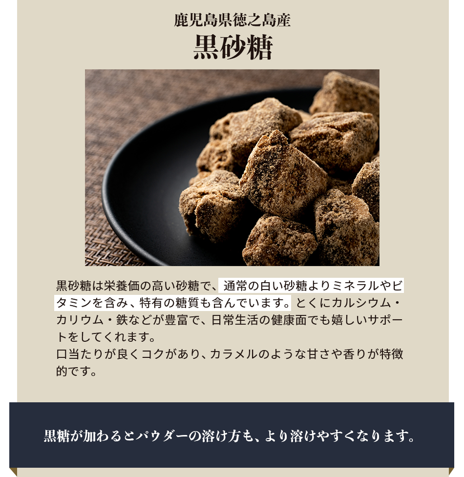 最大95％オフ！最大95％オフ！九州産大豆使用 黒糖 ヘルシー ソイパウダー 防腐剤不使用 送料無料 プロテイン