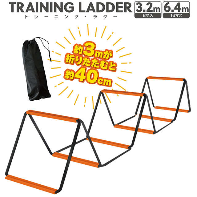 ladder_01a.jpg