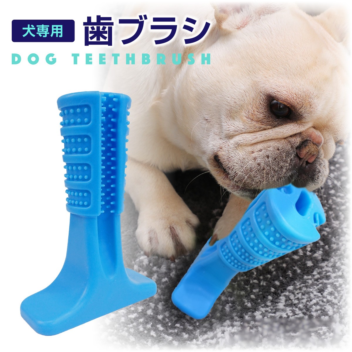 p-toothb_01.jpg