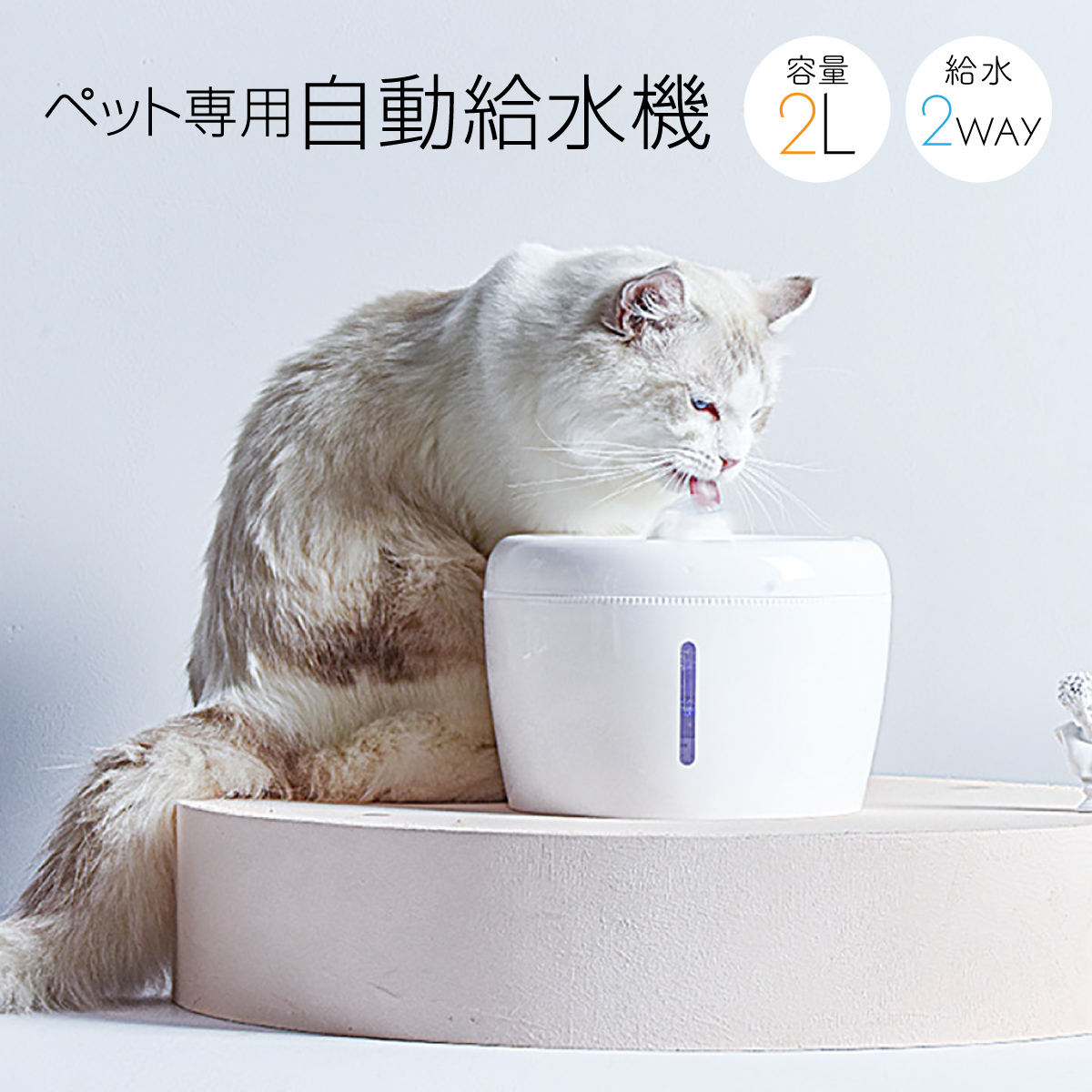 pet-water02_01.jpg