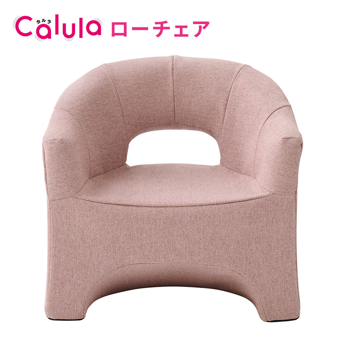明光ホームテック ローチェア Calula カルラ LSGT-イリス 高座