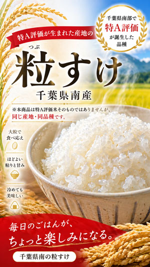 県南産粒すけ 令和7年産 単一原料米 10kg 送料本州無料 館山 南房総
