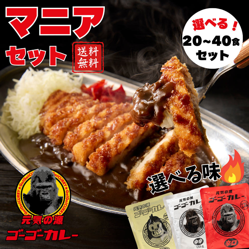 ゴーゴーカレー 選べる 20食 セット レトルトカレー カレー レトルト