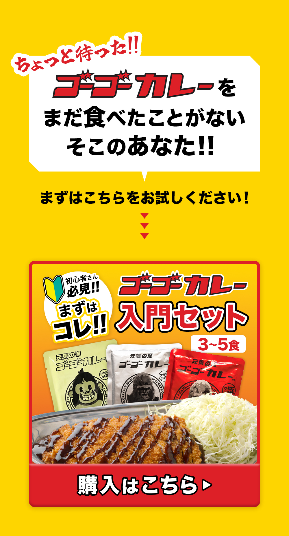 入門セット
