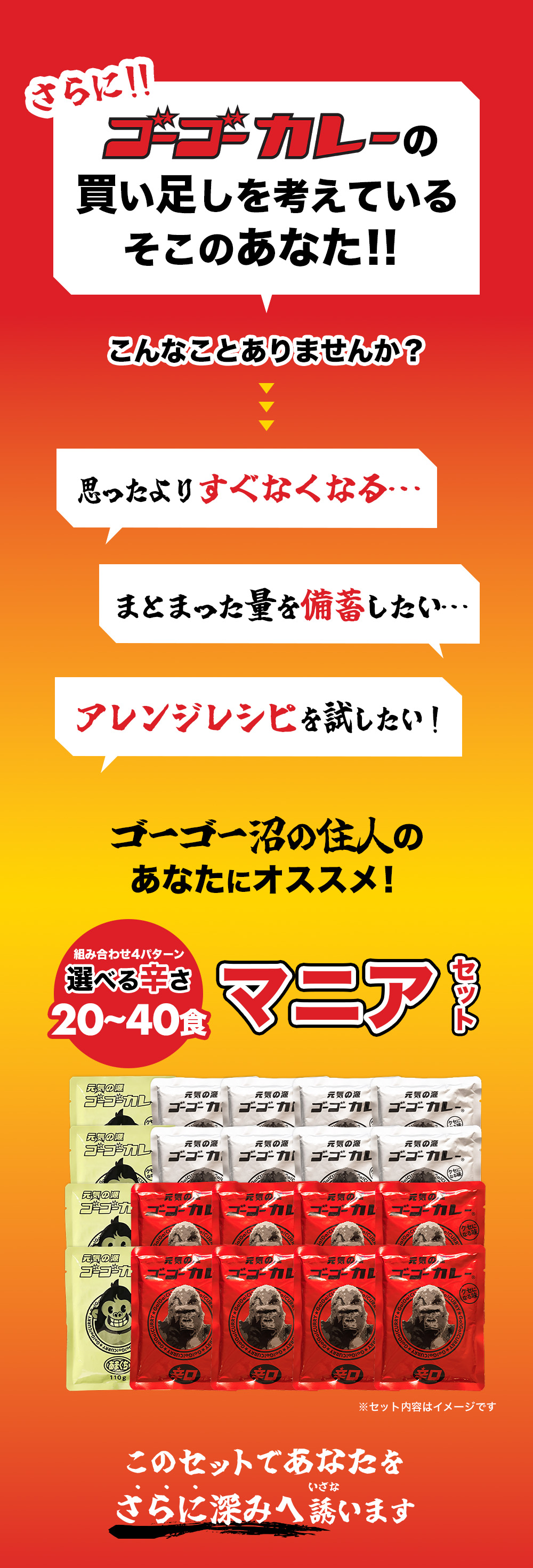 ストアレビュー