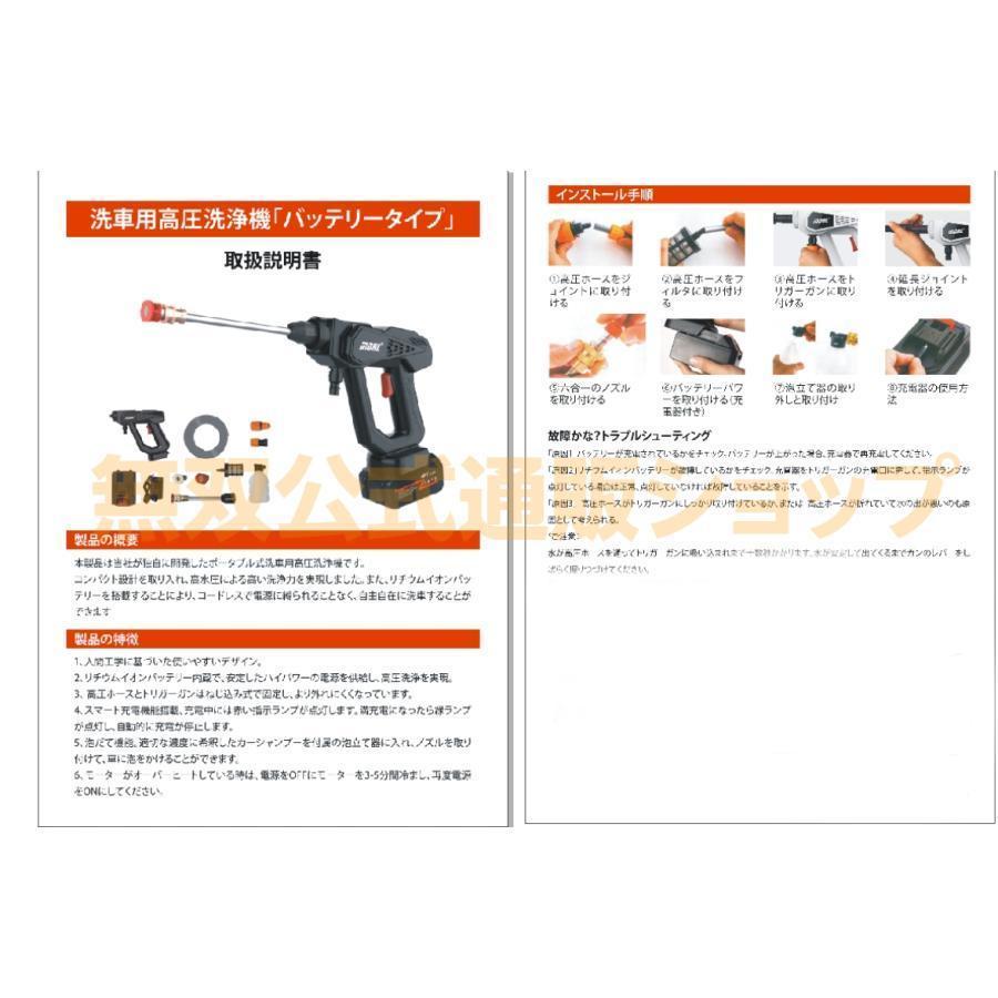 p21017485ddd9_desc_10.jpg