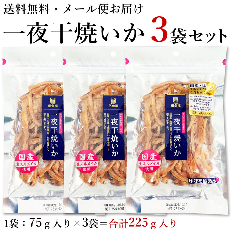 おつまみ イカ 【 一夜干焼いか3袋セット 】 酒のつまみ お取り寄せ