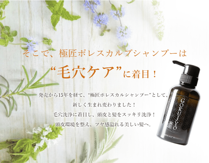 極匠ポレスカルプシャンプー商品説明文 gokujyo porescalp shampoo