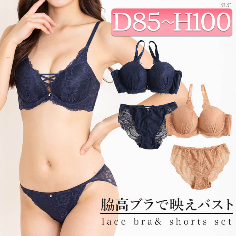 ブラジャー 大きいサイズ レディース 下着 セット 上下 ブラジャー ショーツ レース 透け 秋コーデ 春 夏 秋 冬 LL 2L 3L 4L 5L  メルシーブラウン ネイビー