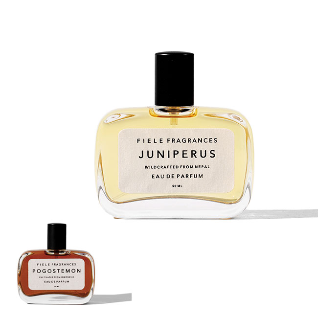 JORUM STUDIO ジョラム ストゥディオ Arborist アーボリスト Eau de