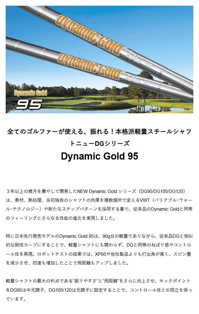 TRUE TEMPER（トゥルーテンパー） ダイナミックゴールド95 アイアン用