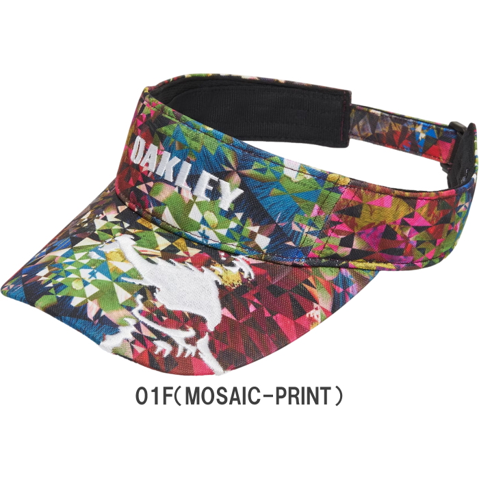郵便発送可】OAKLEY オークリー SKULL スカル GRAPHIC VISOR 24.0