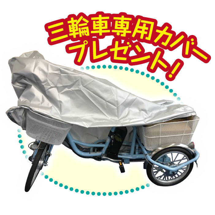 電動アシスト三輪自転車 ロータイプ 18インチ 高齢者 シニア ミムゴ アシらく プティット petit MG-TRM18P : 60650014 :  ゴルクラ - 通販 - Yahoo!ショッピング