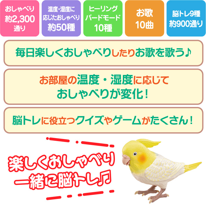 もっとおしゃべり天才オカメインコちゃん 手のり オカメインコ
