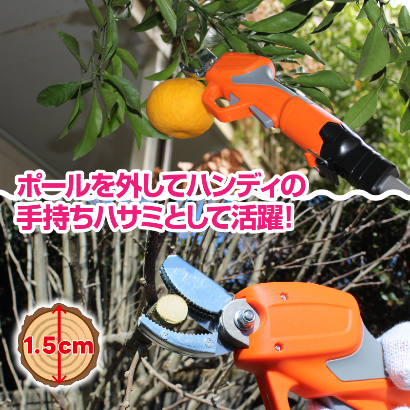 高枝切りハサミ 電動ハサミ 園芸 YARD FORCE 12V コードレス 充電式