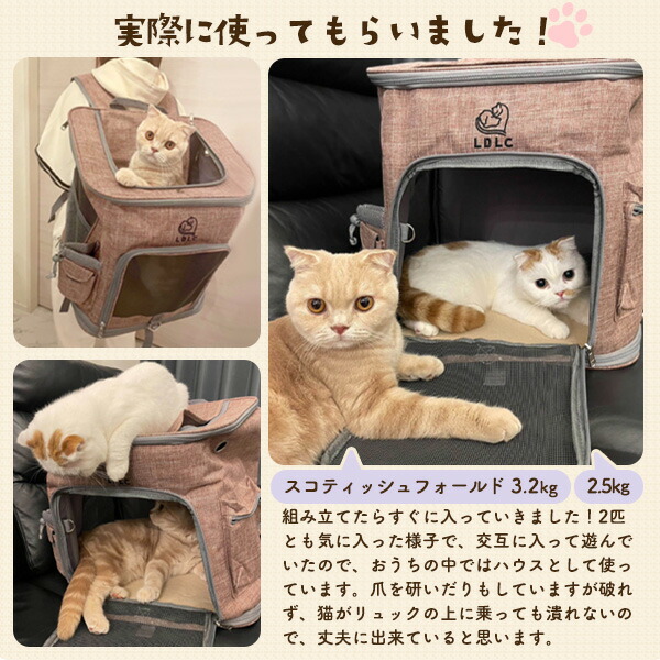 折りたたみ式 ペットキャリーリュック 小型犬 猫 中型犬 ボックス型 天