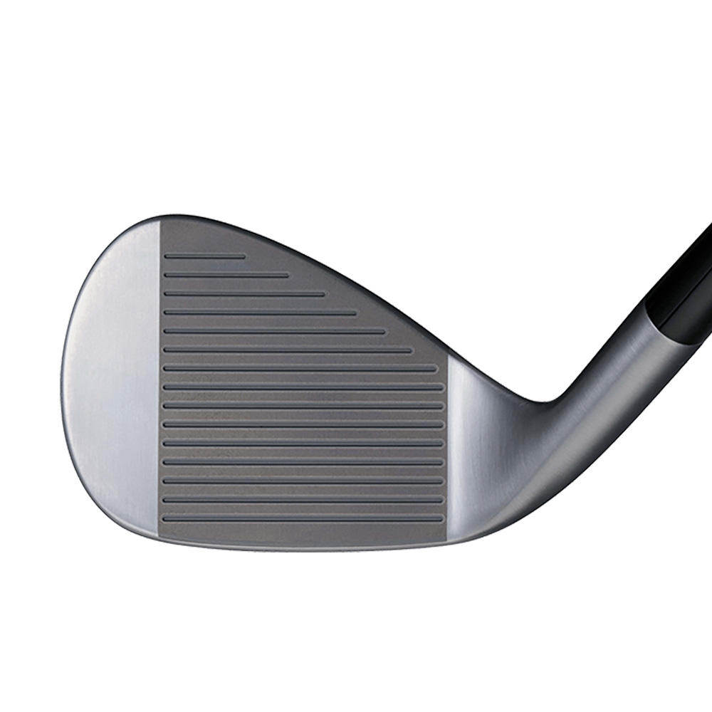 BRIDGESTONE BITING SPIN DG120 2本セット BRIDGESTONE GOLF ゴルフクラブ 2本組 ブリヂストン BITING SPIN