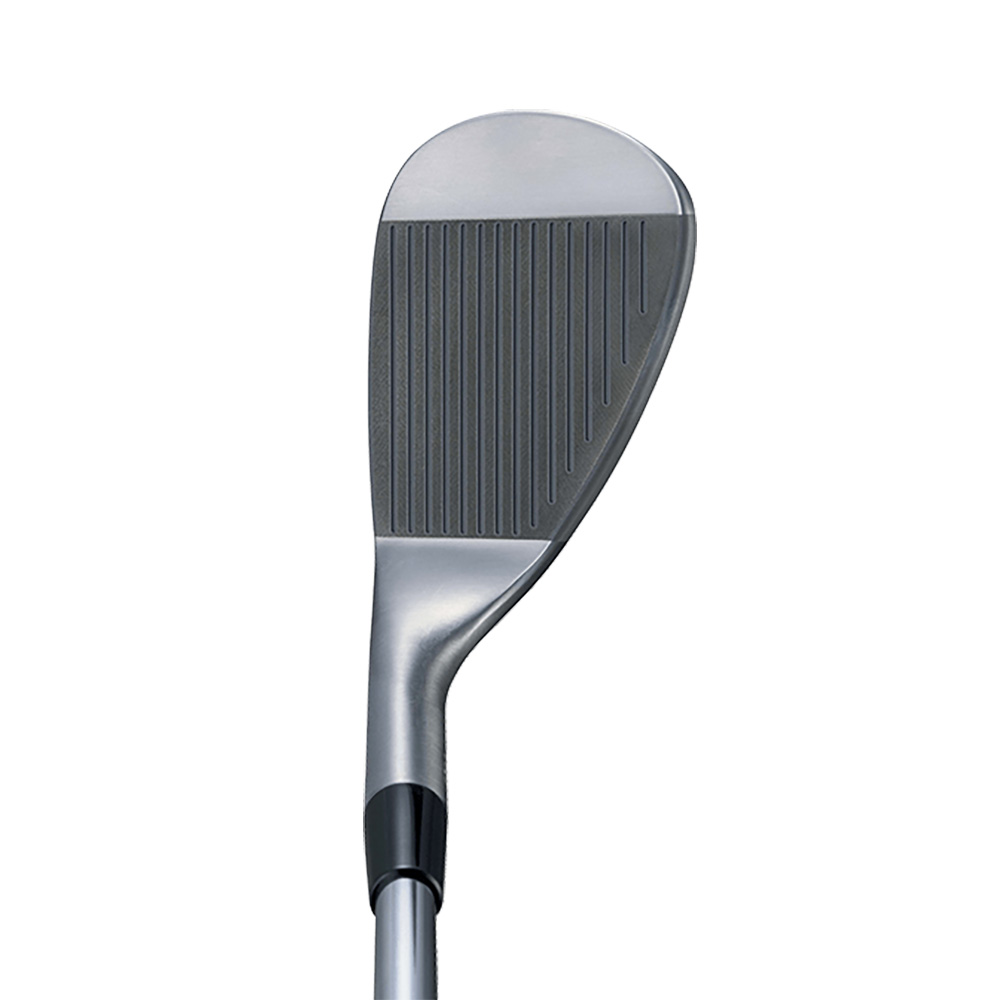 BRIDGESTONE BITING SPIN DG120 2本セット BRIDGESTONE GOLF ゴルフクラブ 2本組 ブリヂストン BITING SPIN