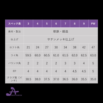 アマチュアリズム オリジナル フラットバックアイアン D-8 : ゴルフ