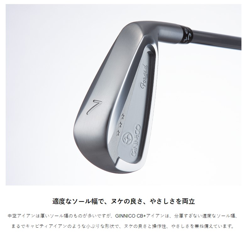 7本セット/イオンスポーツ ジニコ GINNICO CB+ Iron #5-A/NSプロ 950GH
