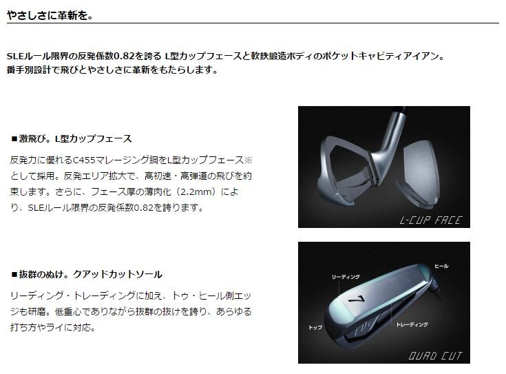 EON SPORTS（イオンスポーツ） 【EON】 GIGA CP1 アイアン 6本組(5-P