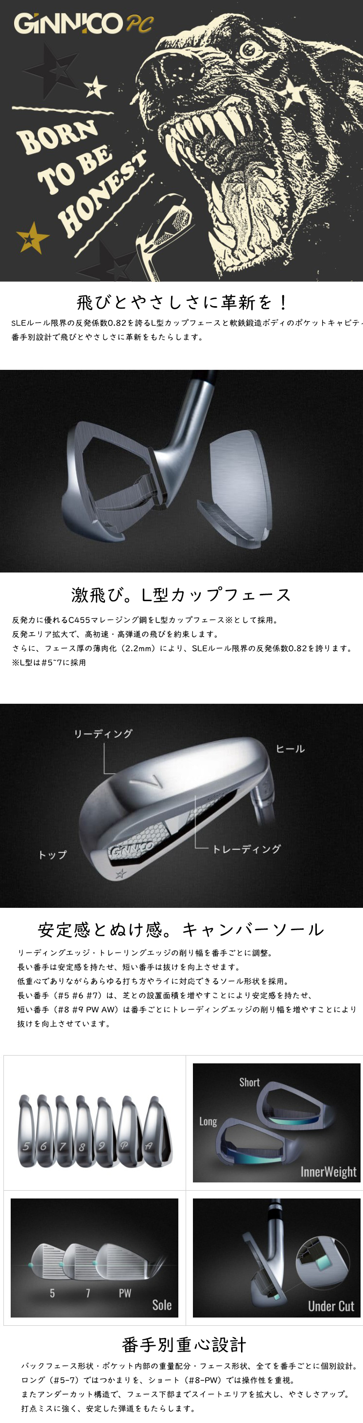 GINNICO 5-PW 6-AW 6本セット / 飛距離×安定 ジニコ PC アイアン