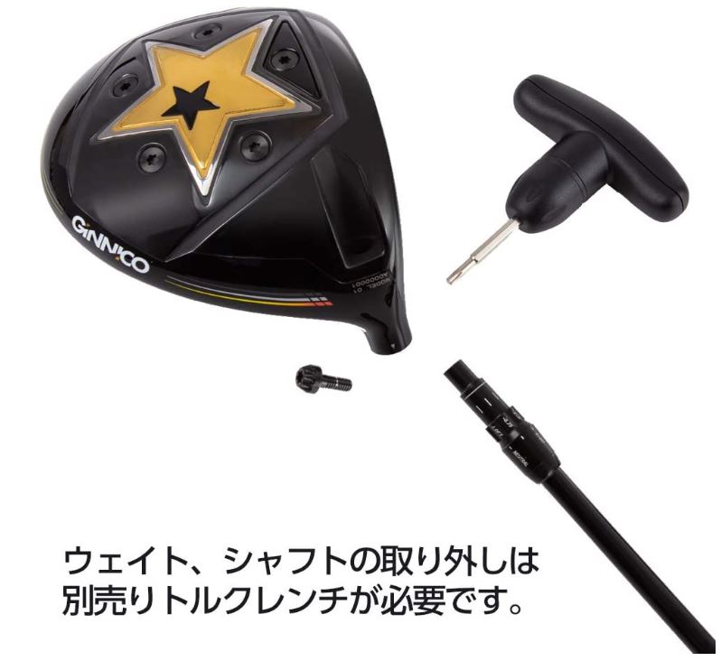 イオンスポーツ ジニコ GINNICO 01 タイプB 10.5度 ヘッドのみ