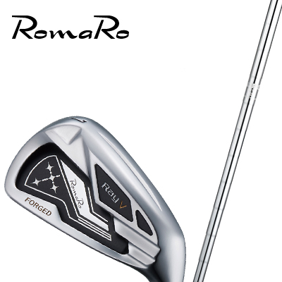 値下げ特別価格 完成品 RomaRo Ray V V2 IRON 【NS950GH シャフト装着