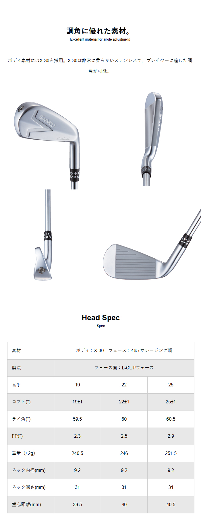 地クラブ系ヘッド イオンスポーツ EONSPORTS GINNICO IRON UTILITY