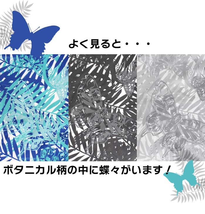 フィラ