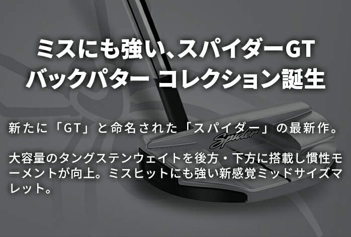 TaylorMade（テーラーメイド） ゴルフ パター Spider GT NOTCHBACK