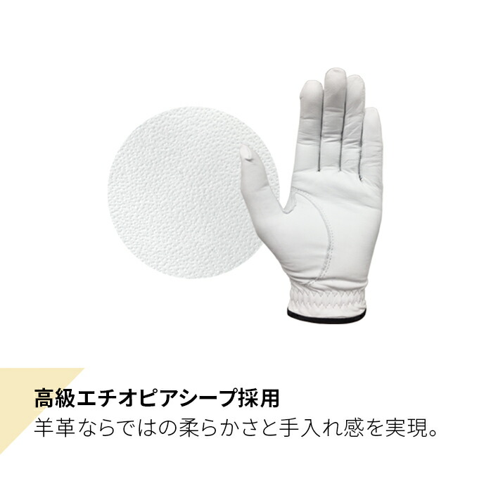 NEXGEN（ネクスジェン） ゴルフ グローブ ハイクオリティ 羊革