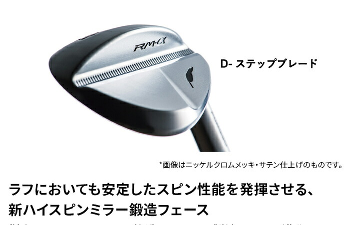 値下げしました！】フォーティーン ゴルフ RM-α Black Edition N.S.PRO