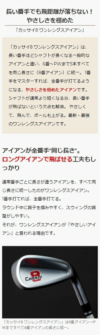 カッサイ8 ワンレングスアイアン ゴルフ クラブ アイアンセット