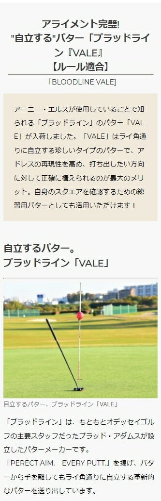 ブラッドライン VALE ゴルフ パター マレット アライメント : 985342 : ゴルフポケットYahoo!店 - 通販 -  Yahoo!ショッピング