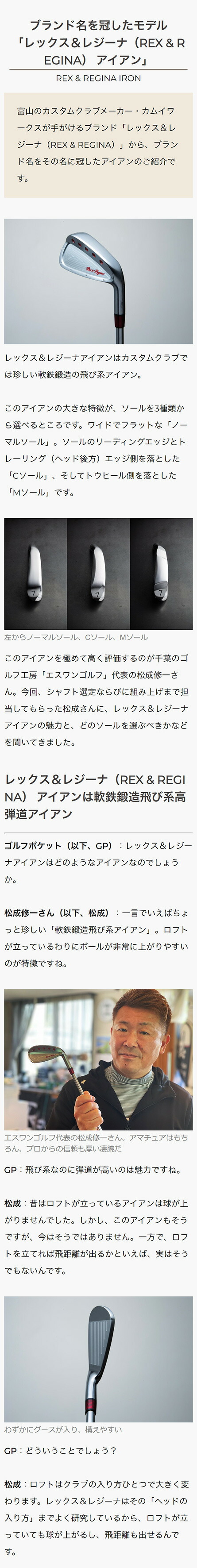 レックス レジーナ REX REGINA 軟鉄鍛造 飛び系 アイアン アイアン