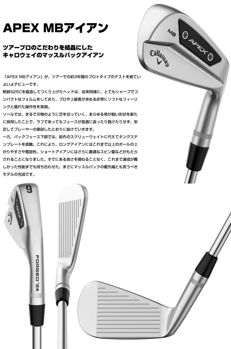 キャロエイアイアン4番APEX MB 単品DG S200