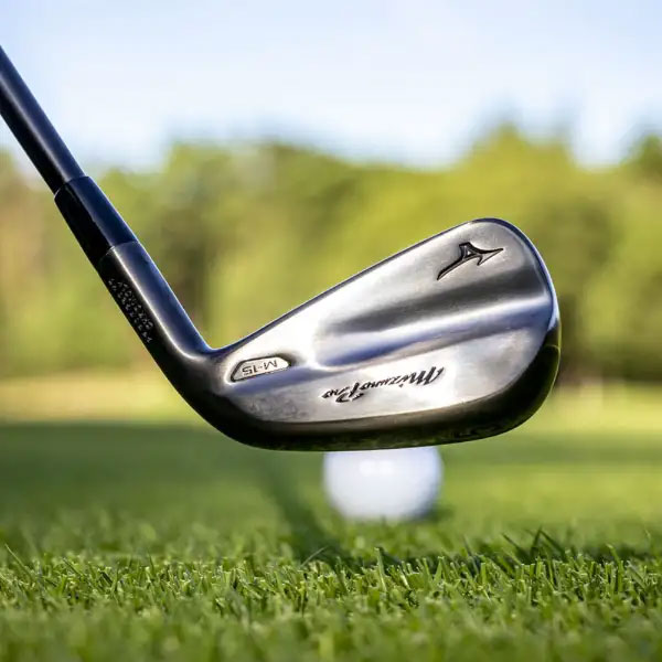 MIZUNO（ミズノ） Mizuno Pro M-15 アイアン 数量限定 グレーIP仕上げ