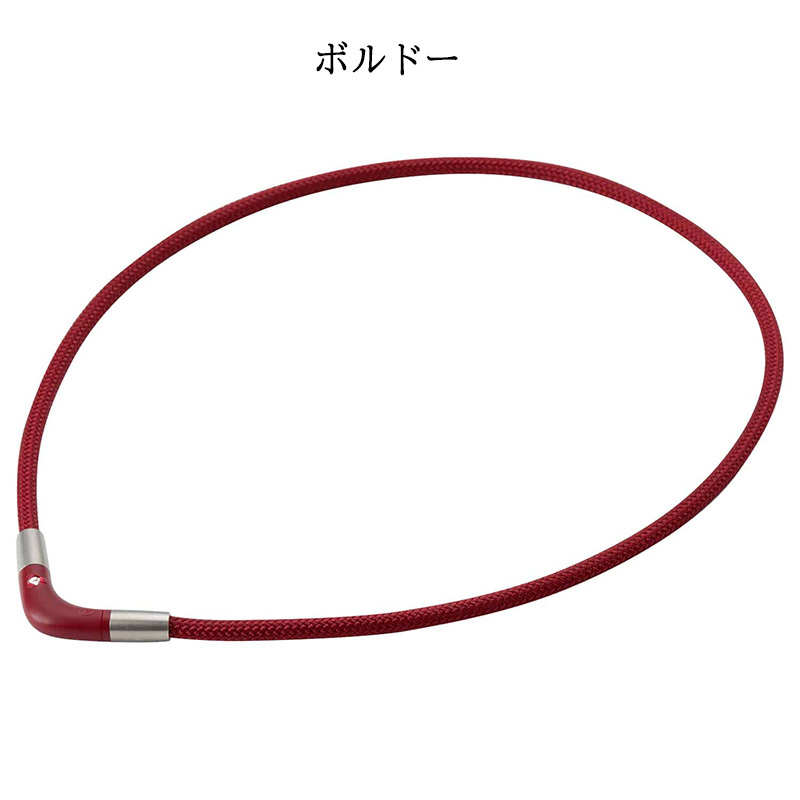 Phiten（ファイテン） RAKUWA 磁気チタンネックレス Vタイプ (管理医療