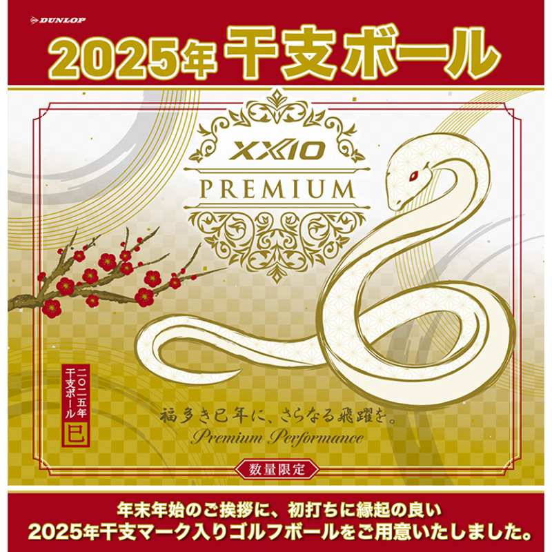 2011年干支ボール XX10premium xxiopremium2_setumei_04.png