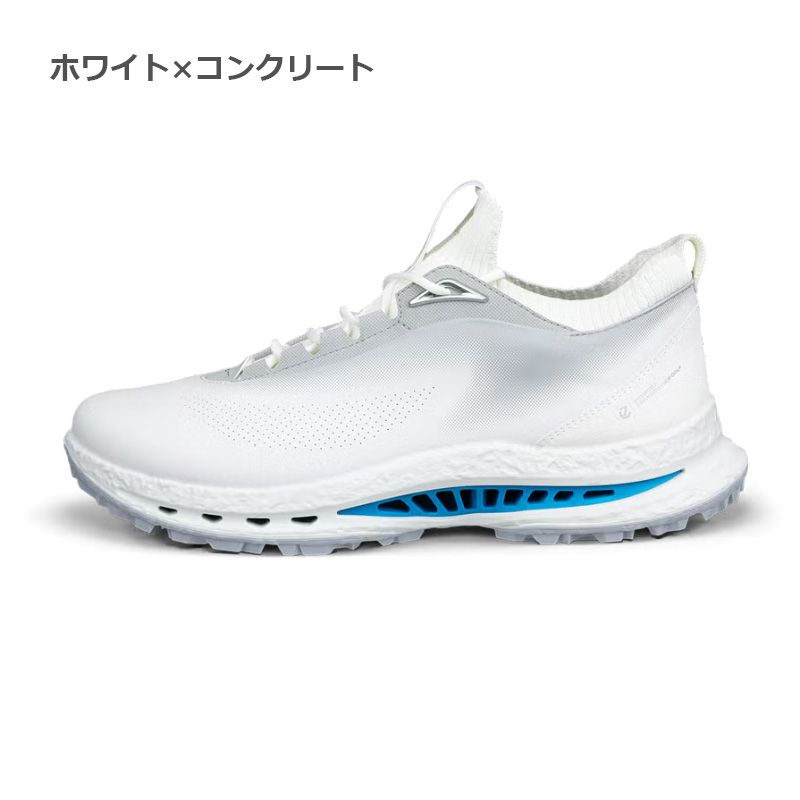 ecco（エコー） 【即納あり】2026 ECCO ゴルフシューズ BIOM C5 メンズ