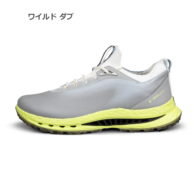 ecco（エコー） 【即納あり】2026 ECCO ゴルフシューズ BIOM C5 メンズ